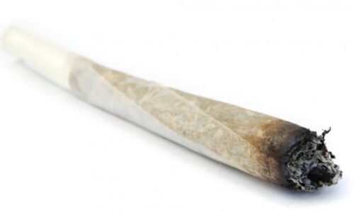 depositphotos_22400237-stock-photo-isolated-lit-reefer