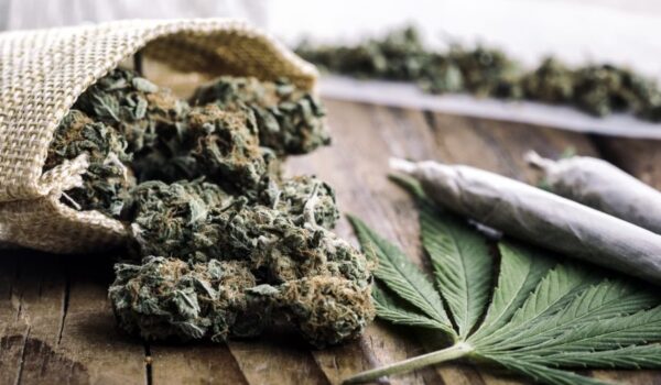Marijuana buds with marijuana joints ,paper on wooden table